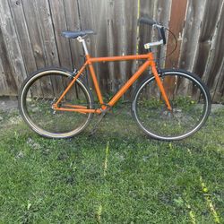 Raleigh Fixy Bike Wheels 700