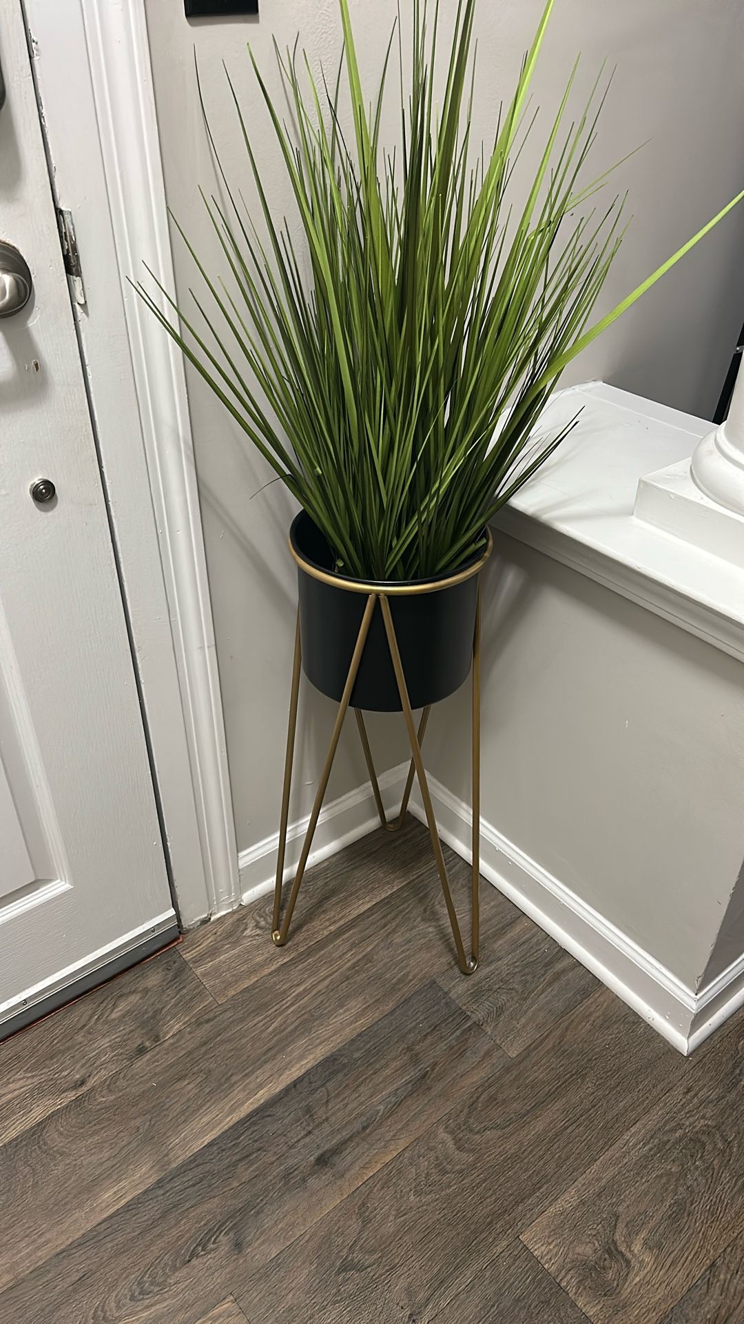 Plant Holder