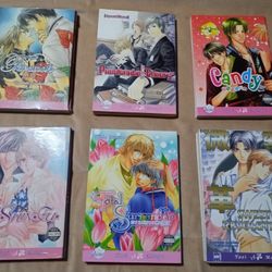 Yaoi Boy Love English Manga Book Lot
