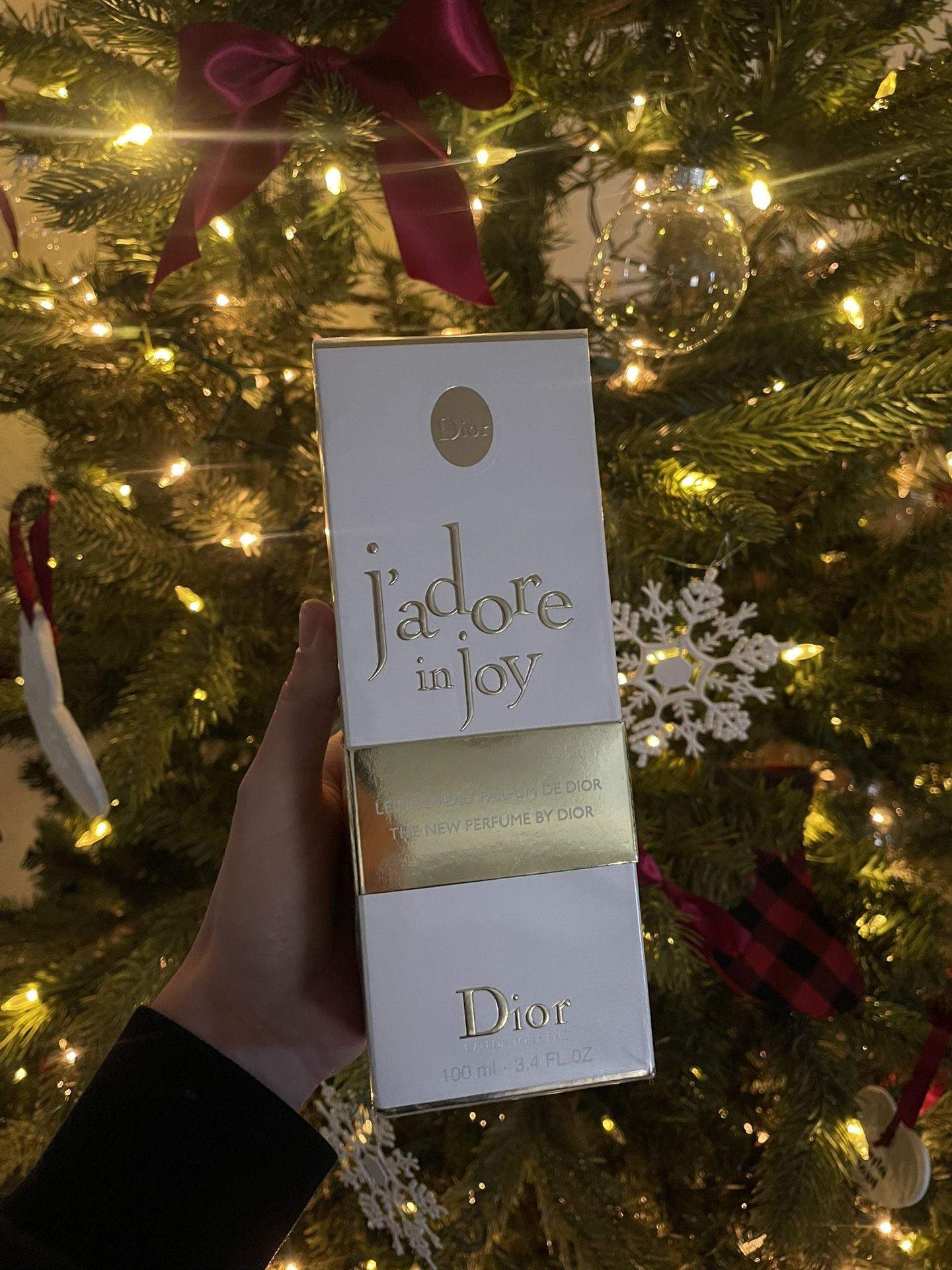 Christian Dior J'Adore Eau de Parfum Spray 100 ML π