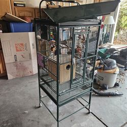 Bird Cage