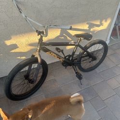Magna 20” BMX Bike