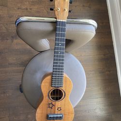 Hawaiian Guitar 