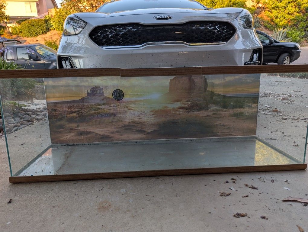 Free Terrarium