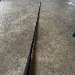 Fishing Rod