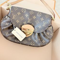 Louis Vuitton Purse