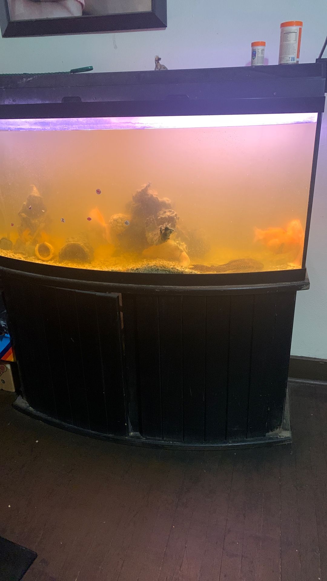 Fish Tank