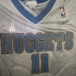 Denver NUGGETS 11 Earl Boykins JERSEY