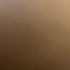 Neeraj