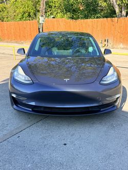 2019 Tesla model 3 Standard Range
