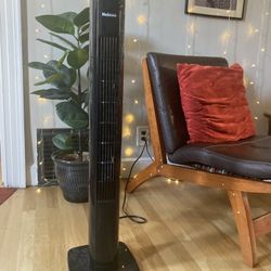 Oscillating Fan