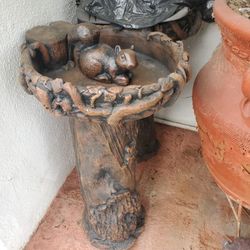 New Squirrel Bird Bath 