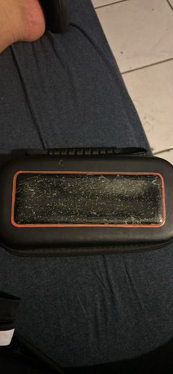 Switch Lite Case