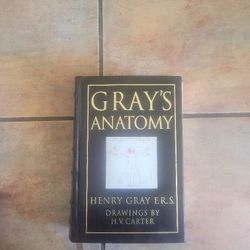 Anatomy Book