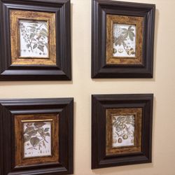 four small botanical prints