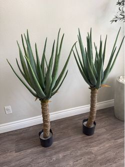 Set Of 2 5FT Artificial Aloe Vera Trees