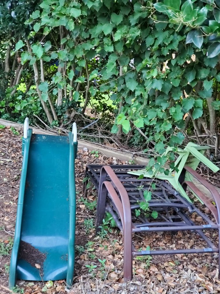 Free , lounge chairs