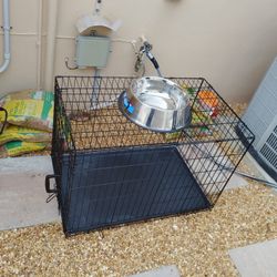 Dog Cage And Water Bowl