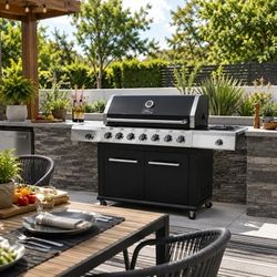 Multi-Function Gas Grill