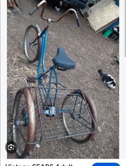 Old adult bike (trike)