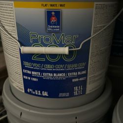 Pintura Flat Swiss Coffee nueva 120 cada una