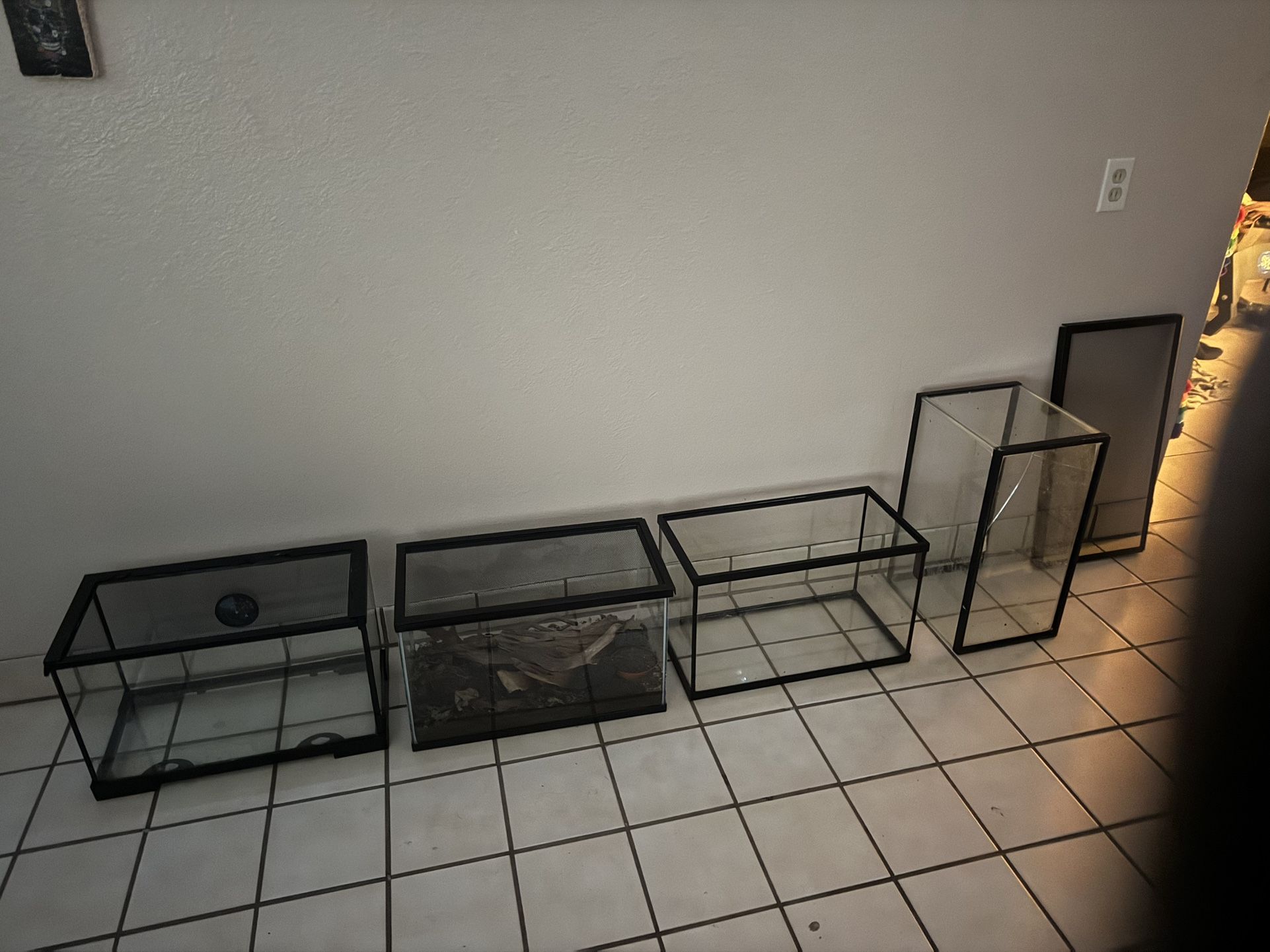 Several Tanks For Fish Or Reptiles