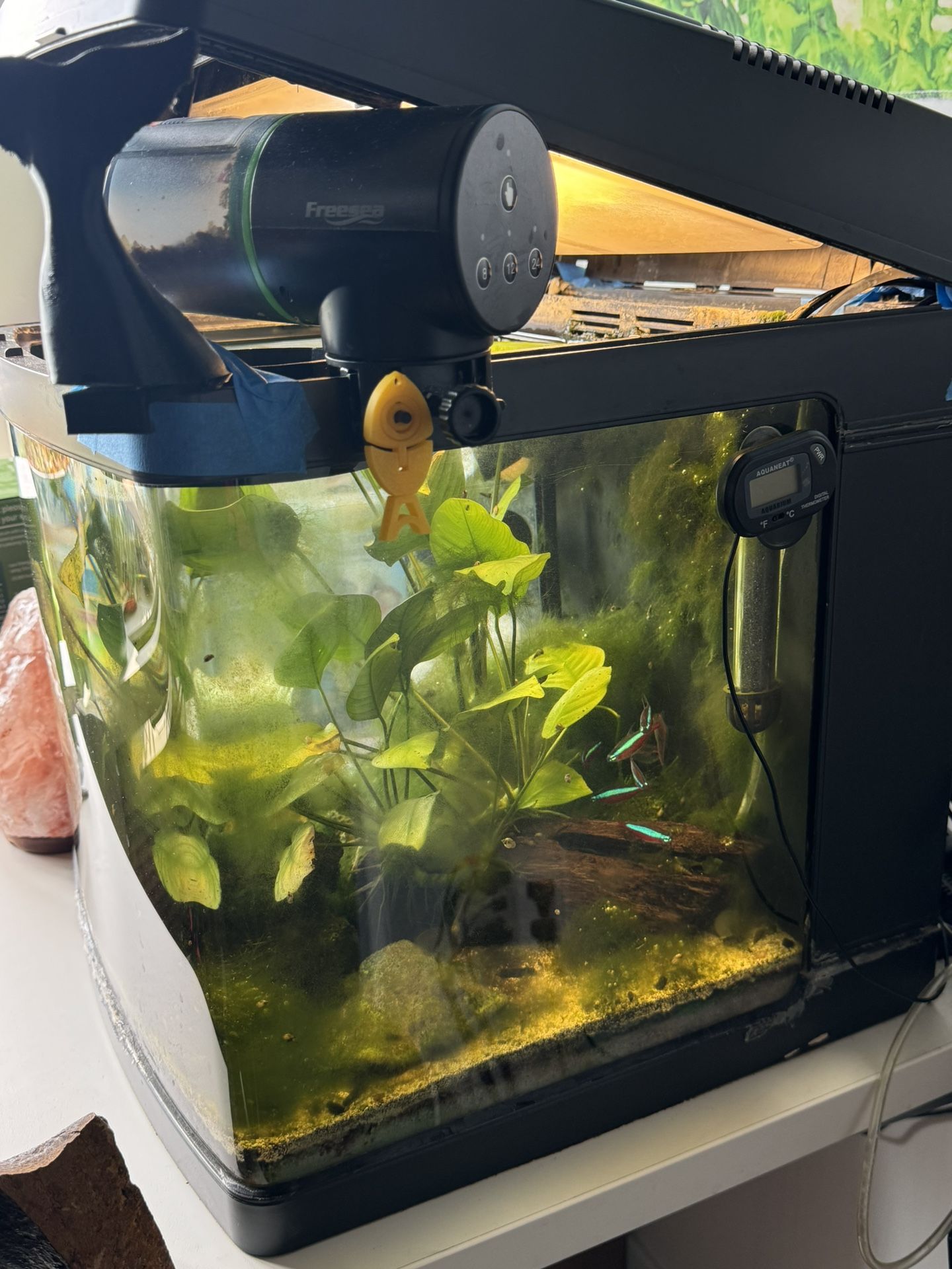 16-Gallon BioCube Fish Tank/Aquarium - Ready to Go, All Components Included