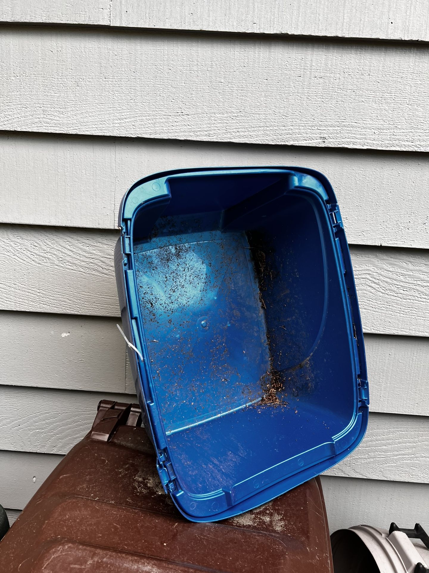 LITTER BOX new, been Outside, Never Cat Kitty Litter