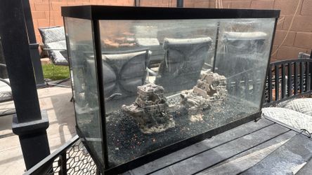 29 Gallon Aquarium