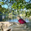 PacificNorthWestie