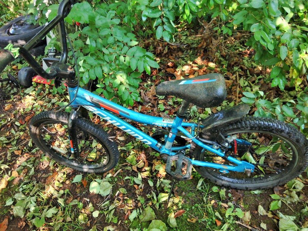 18' Bike