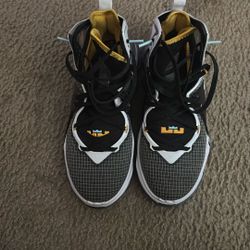 Nike Lebrons 19