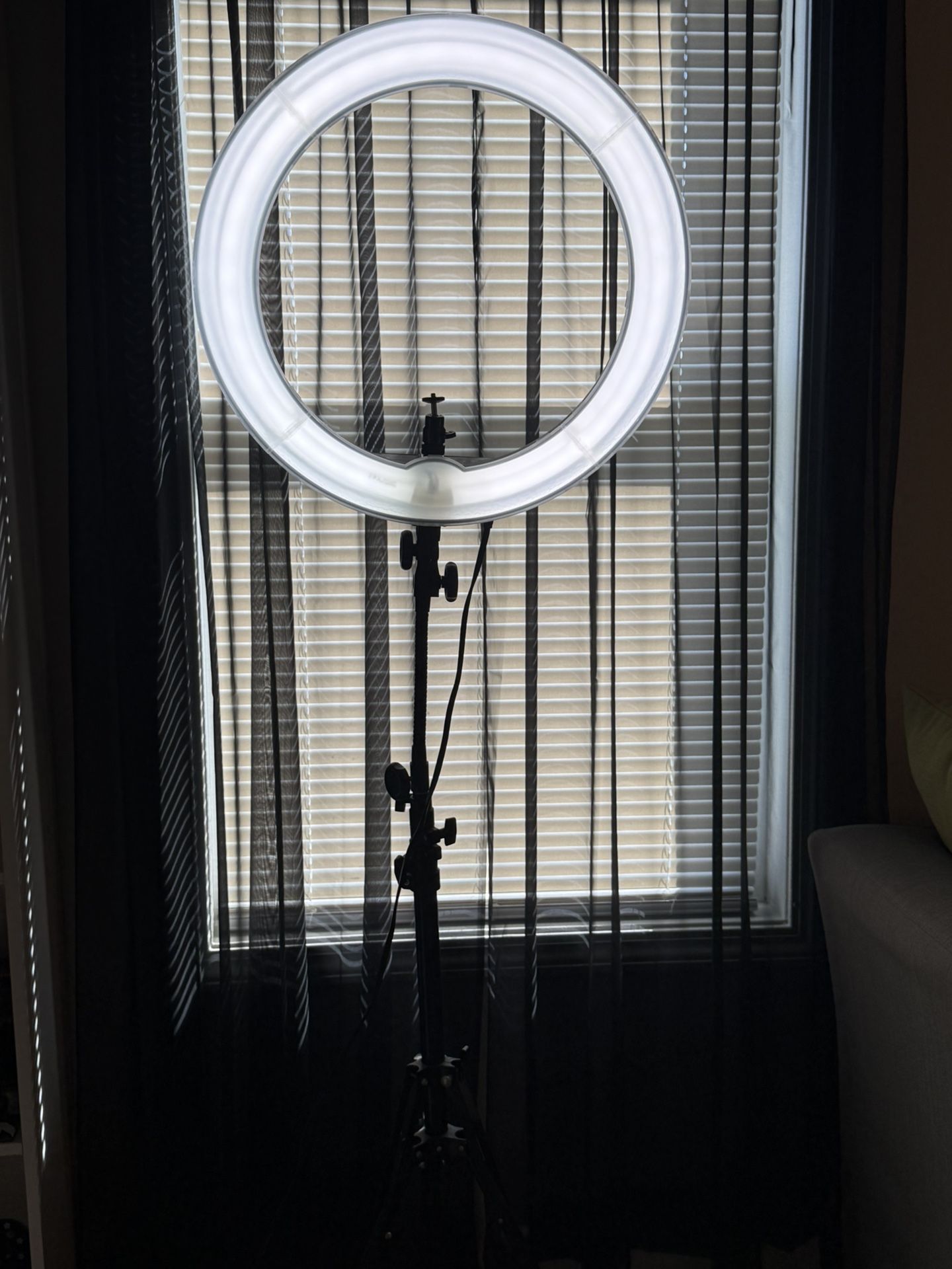 Studio Ring Light