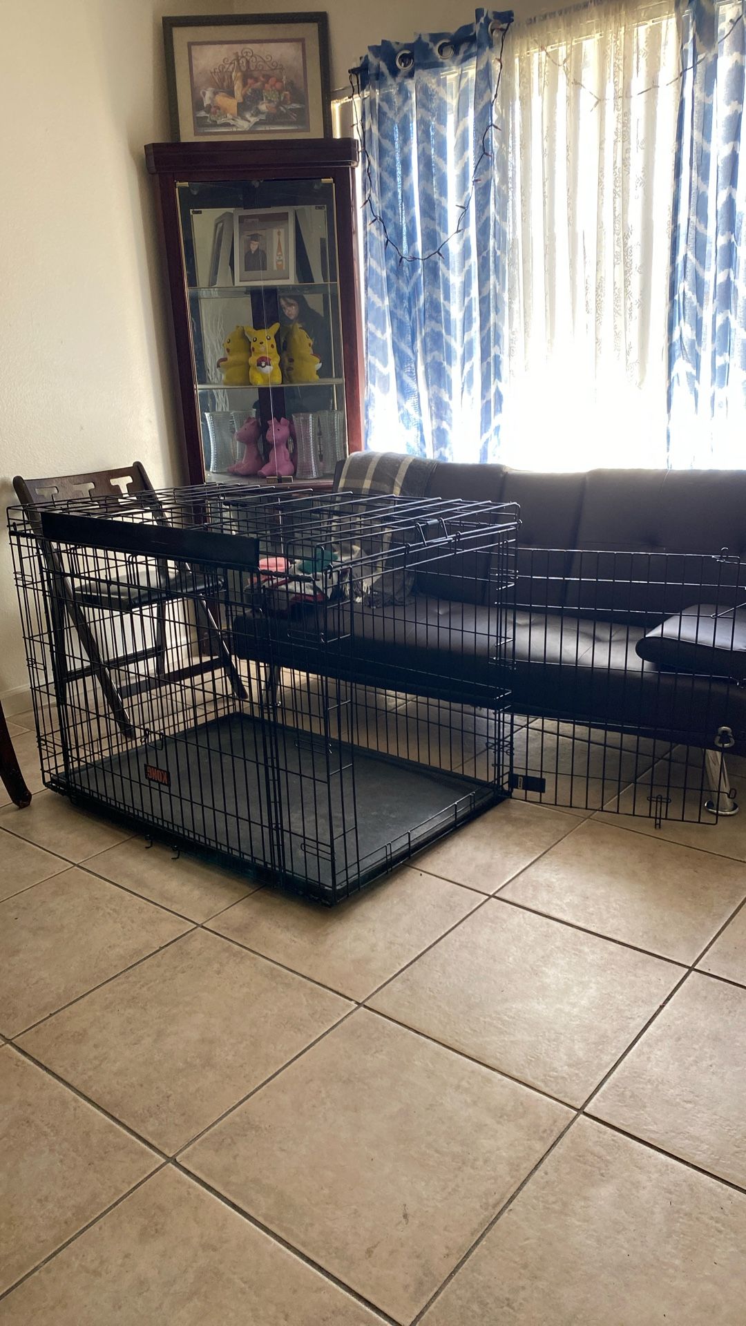 XL Dog Crate