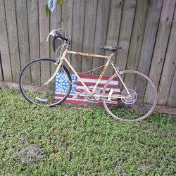 Old School Bike 
