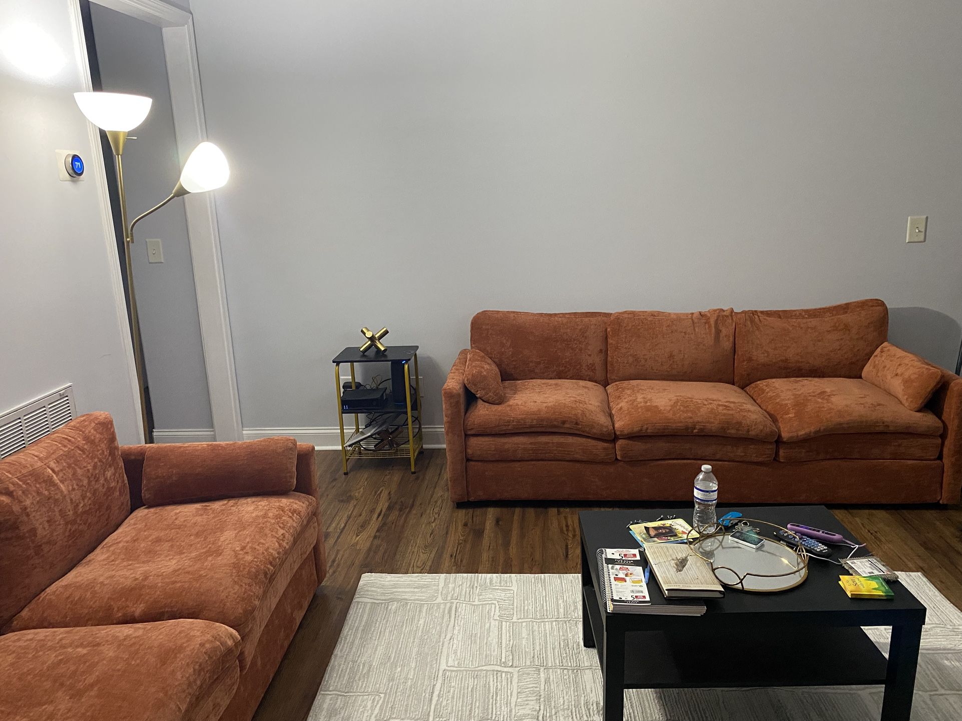 Burnt Orange Modern Sofas