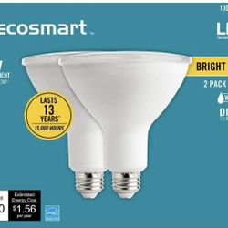Ecosmart 90-Watt Equivalent PAR38 Dimmable Energy Star Flood LED Light Bulb Brig