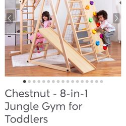 Avenlur Chestnut - 8-in-1 Jungle Gym for Toddlers