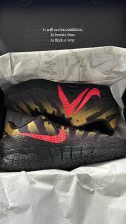 Nike ja 3 size 12