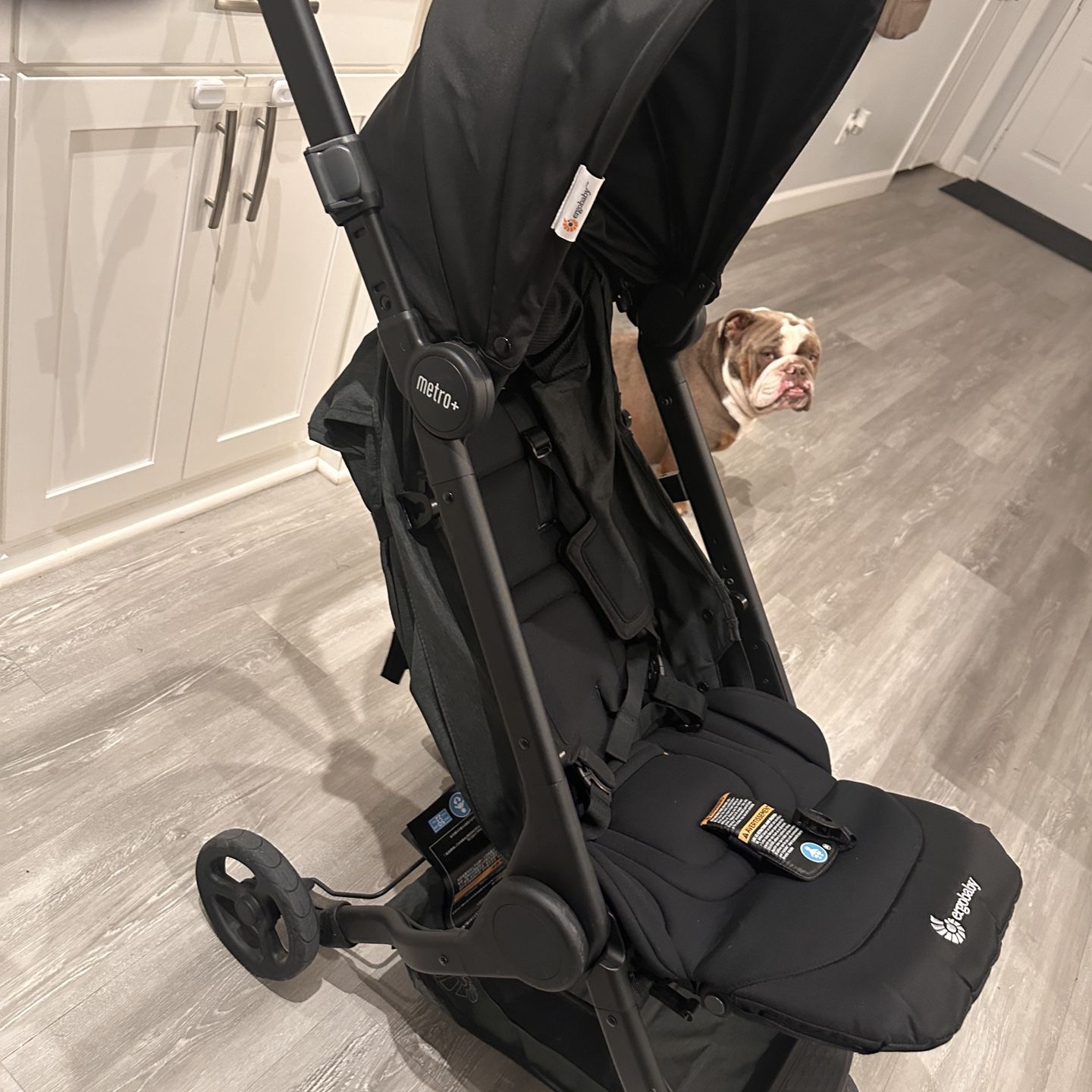 Ergo baby Metro+ Compact Stroller  (serious Inquiry’s Only Please ) OBO