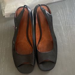 Size 11 Gentle Souls Shoes
