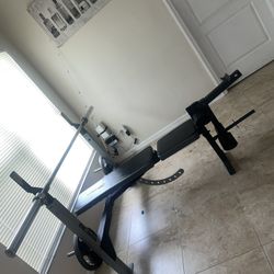 Weight Bench 
