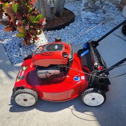 TORO PERSONAL PACE SELF-PROPELLED SYSTEM  22in BLADE 