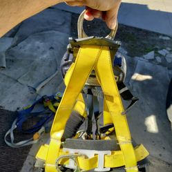 Harness