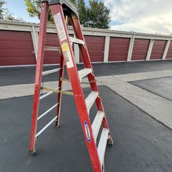 Werner 6 Foot Fiberglass Ladder
