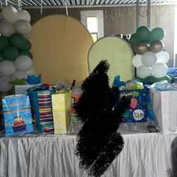 Arch Backdrop Covers