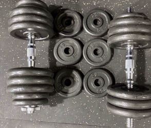 Adjustable Cast Iron Dumbbells ($100)