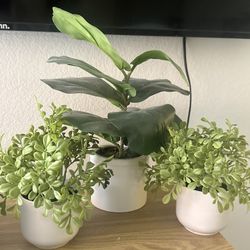 Faux Table Plants