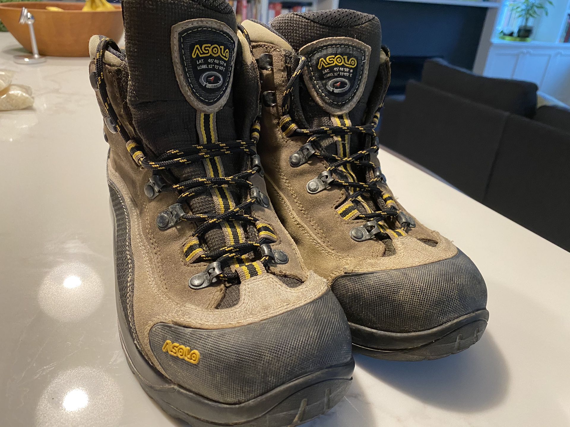 Asolo FSN 95 GTX Hiking Boots - Men's