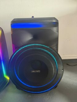 18’’ Dolphin Speaker 